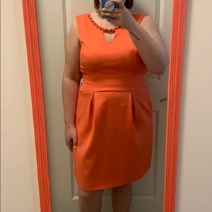 Dress barn dress size 12